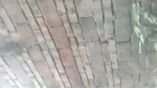 雪莲花歌曲媳妇打飞机