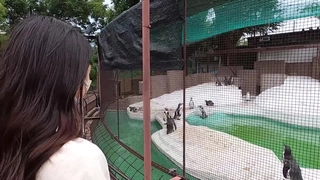 酒丫头精彩直播十一月二十八号
