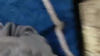 少年肛交处女在残酷的第一次体验中探索