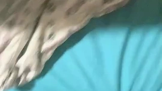 在沪产后少妇出轨