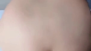 市政厅地窖里的精子之争-新秘书成立